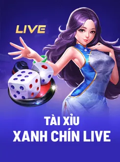 live casino tic88 (6)